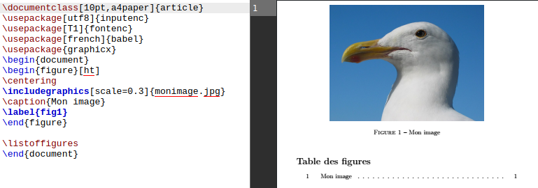 Latex Includegraphics